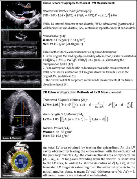 lvh measurements in echo.